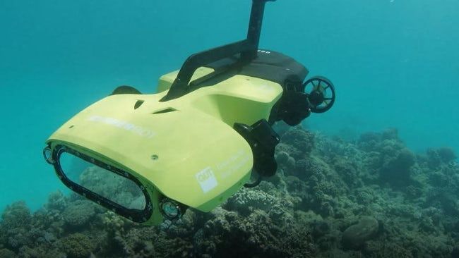 Подводные дроны защитят коралловые рифы от паразитов и морских звёзд (+видео)