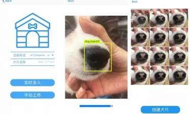 В Китае искусственный интеллект узнает собак по отпечаткам носа